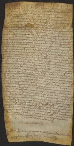 135 C.10.CXXXVr, Investitura fatta da Wiberto vescovo a favore di Martino, Pietro, Giovanni ed Andrea, fratelli, e di alcuni altri, Modena, [1048, lug. 5-8]